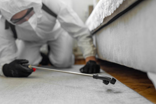 Professional Termite Control technician working in Kenvil, NJ