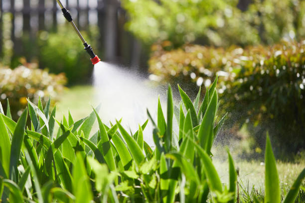 24/7 Emergency Termite Control experts in Kenvil, NJ